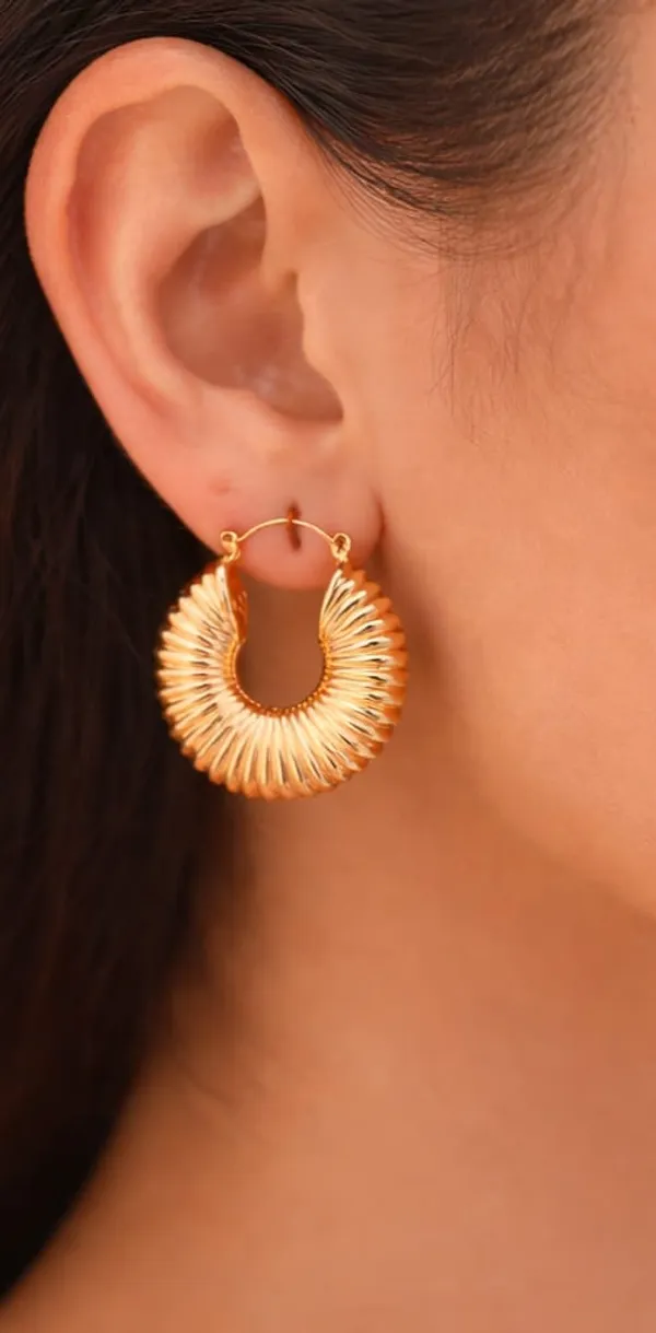 Gold_Plated_Premium_Stainless_Steel_Earring_For_Women