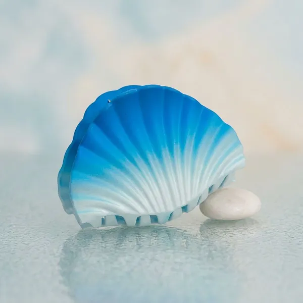 Pack_Of_2_Sky_Blue_Acrylic_Midnight_Shell_Claw_Clip