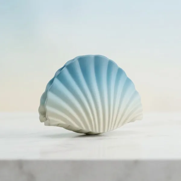 Pack_Of_2_Powder_Blue_Acrylic_Pastel_Shell_Claw_Clip