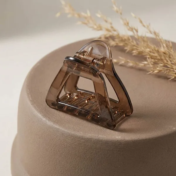 Pack_Of_2_Dark_Brown_Acrylic_Transparent_Triangle_Claw_Clip