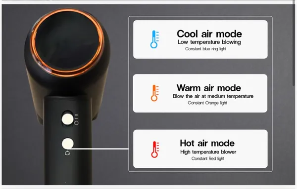 EZION_BLDC_1600W_BLACK_HAIR_DRYER