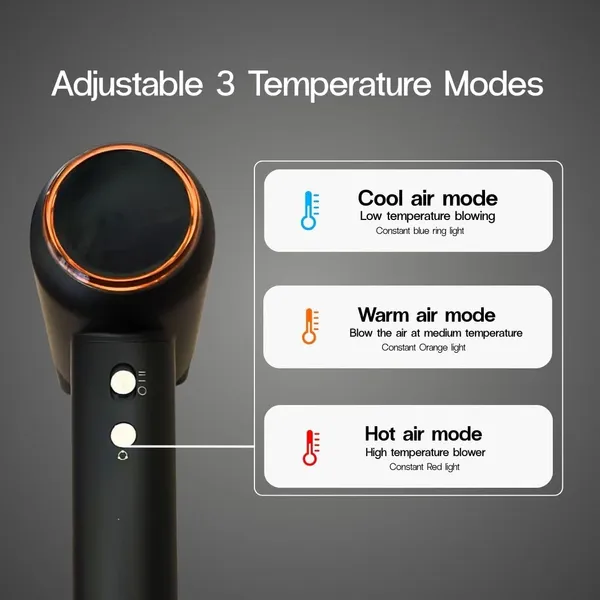 EZION_BLDC_1600W_BLACK_HAIR_DRYER