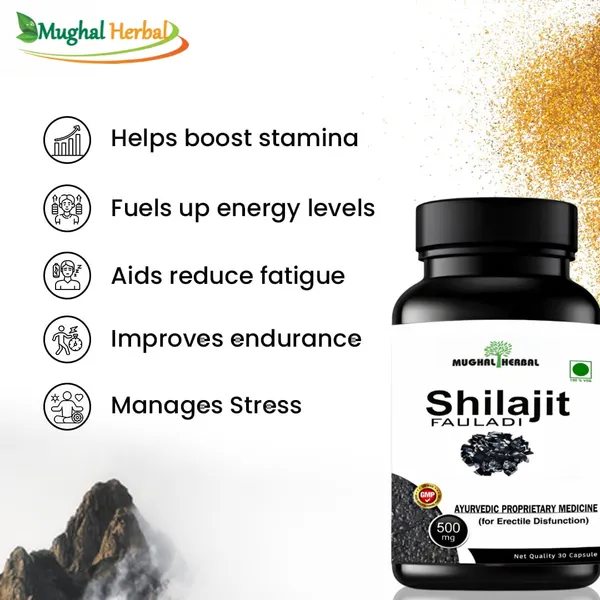 Shilajit_Fauladi_Capsule_To_Support_Stamina,_Strength,_And_Endurance_Gym_Foods_30_Caps