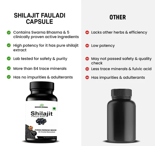 Shilajit_Fauladi_Capsule_To_Support_Stamina,_Strength,_And_Endurance_Gym_Foods_30_Caps