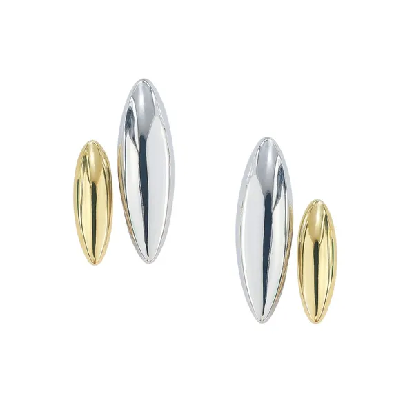 Silver_&_Golden_Alloy_Trending_Earring_For_Women