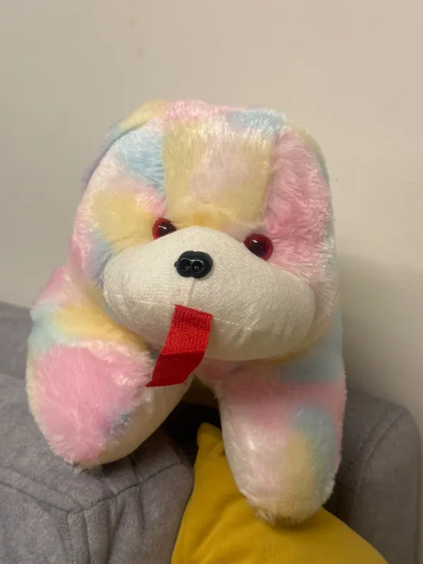 Multicolor_Cuddly_Colourpop_Dog_Soft_Toy
