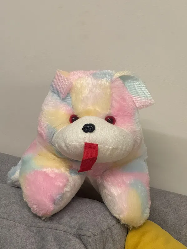 Multicolor_Cuddly_Colourpop_Dog_Soft_Toy