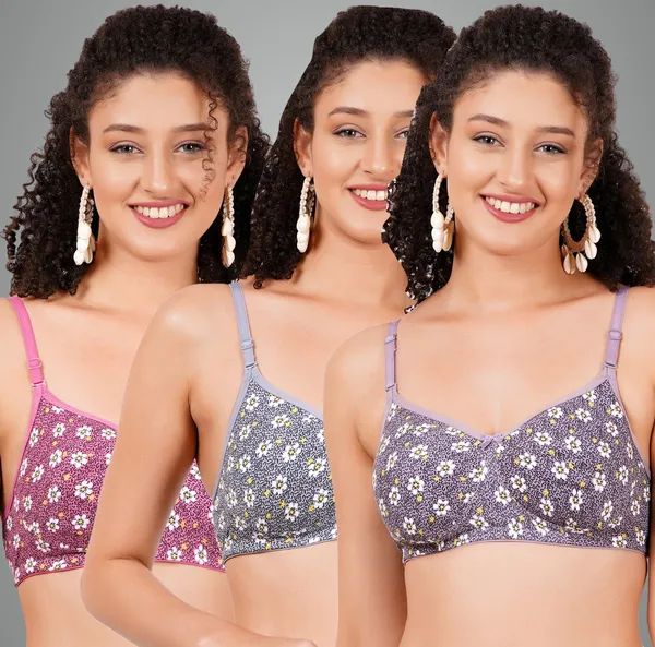 Mauve,_Grey_And_Onion_Hunnymouldmino_Tshirt_Non_Padded_Bra_For_Women_Pack_Of_3