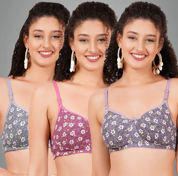 Mauve,_Onion_And_Grey_Hunnymouldmino_Tshirt_Non_Padded_Bra_For_Women_Pack_Of_3