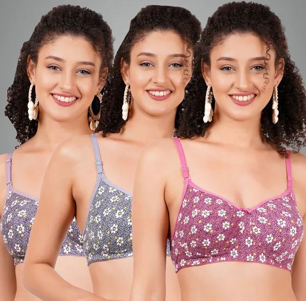Onion,_Grey_And_Mauve_Hunnymouldmino_Tshirt_Non_Padded_Bra_For_Women_Pack_Of_3