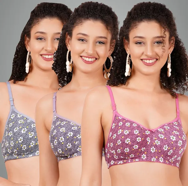 Onion,_Mauve_And_Grey_Hunnymouldmino_Tshirt_Non_Padded_Bra_For_Women_Pack_Of_3
