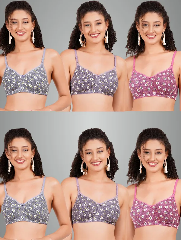 Grey,_Mauve_And_Onion_Hunnymould_Tshirt_Non_Padded_Bra_For_Women_Pack_Of_6