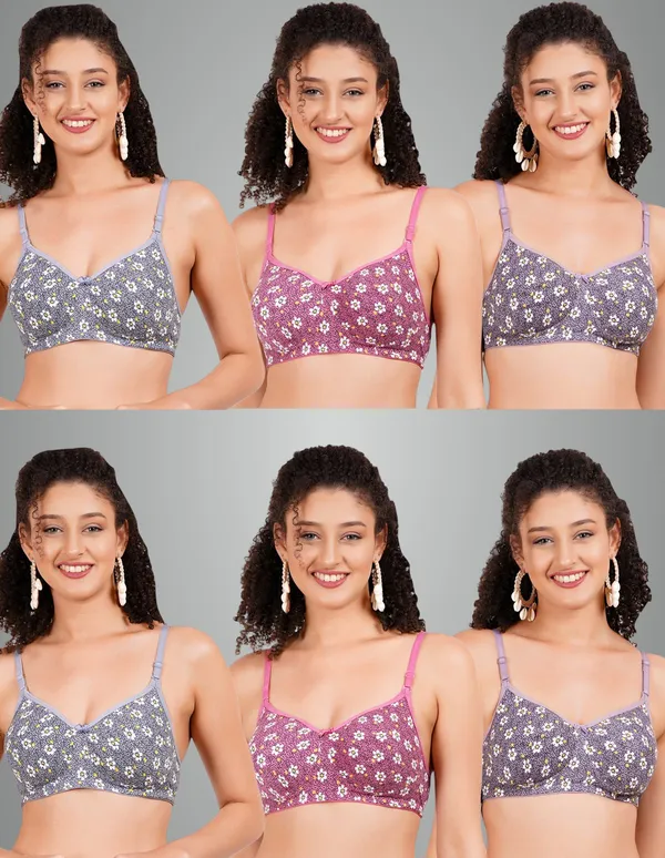 Grey,_Onion_And_Mauve_Hunnymould_Tshirt_Non_Padded_Bra_For_Women_Pack_Of_6