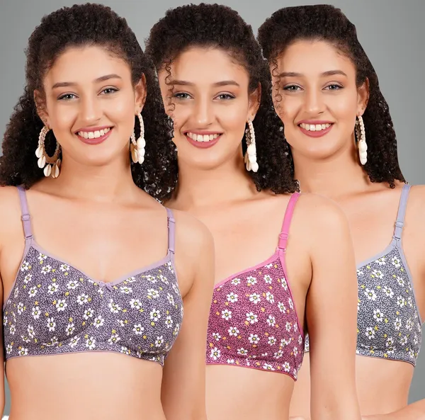 Mauve,_Onion_And_Grey_Hunnymould_Tshirt_Non_Padded_Bra_For_Women_Pack_Of_3