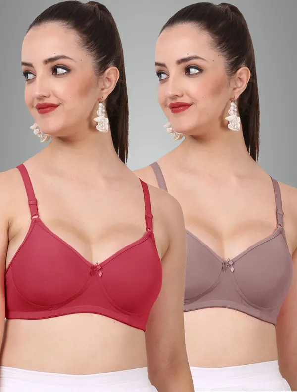 Maroon_And_Grape_Jollypad_Tshirt_Lightly_Padded_Bra_For_Women_Pack_Of_2