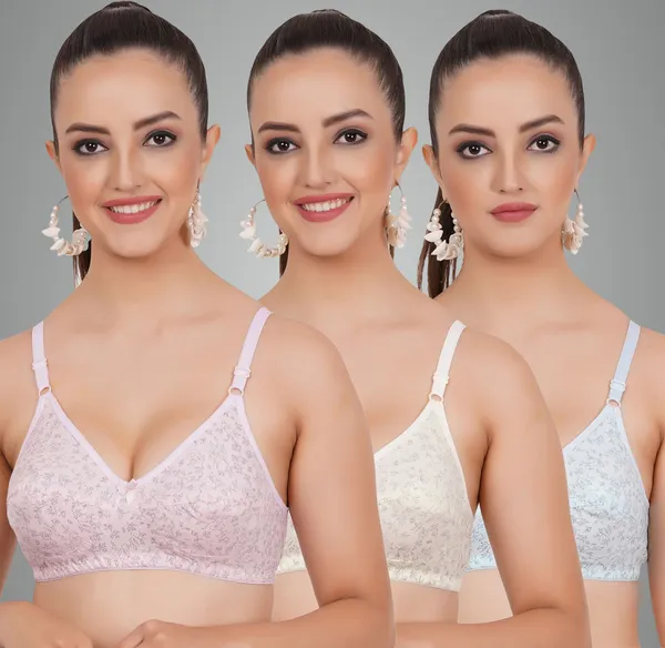 Mauve,_Skin_And_Blue_Kiara_Everyday_Non_Padded_Bra_For_Women_Pack_Of_3
