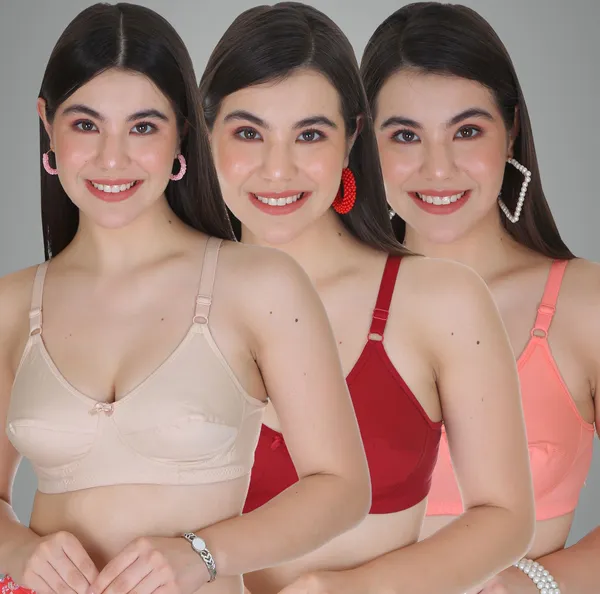 Skin,_Maroon_And_Peach_Mansi_Everyday_Non_Padded_Bra_For_Women_Pack_Of_3