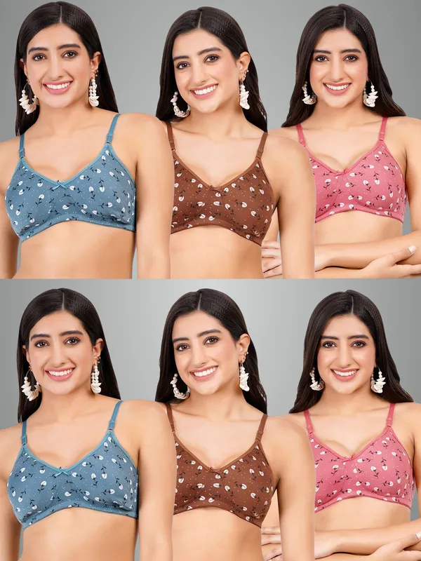 Blue,_Brown_And_Onion_Rosemould_Tshirt_Non_Padded_Bra_For_Women_Pack_Of_6