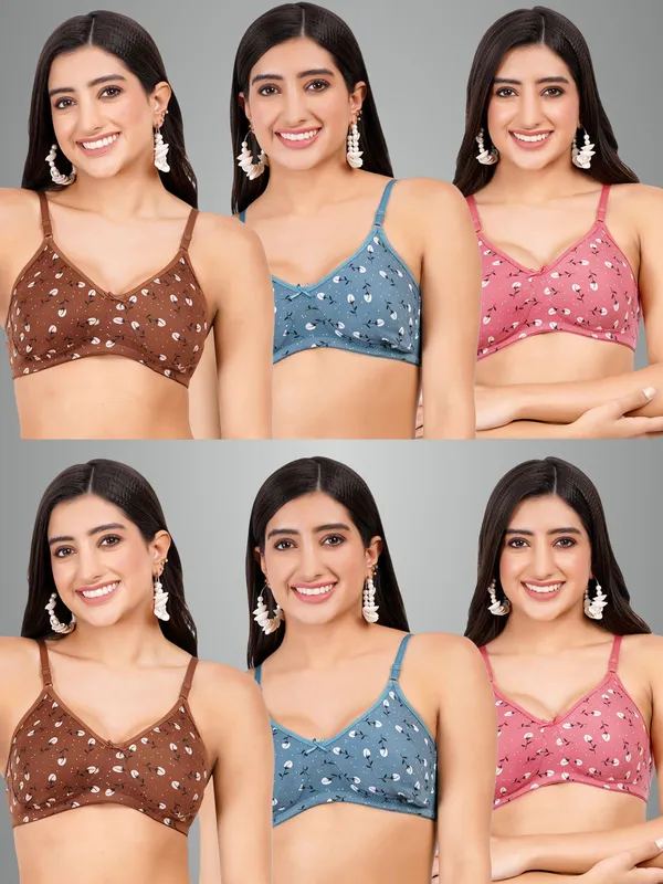 Brown,_Blue_And_Onion_Rosemould_Tshirt_Non_Padded_Bra_For_Women_Pack_Of_6