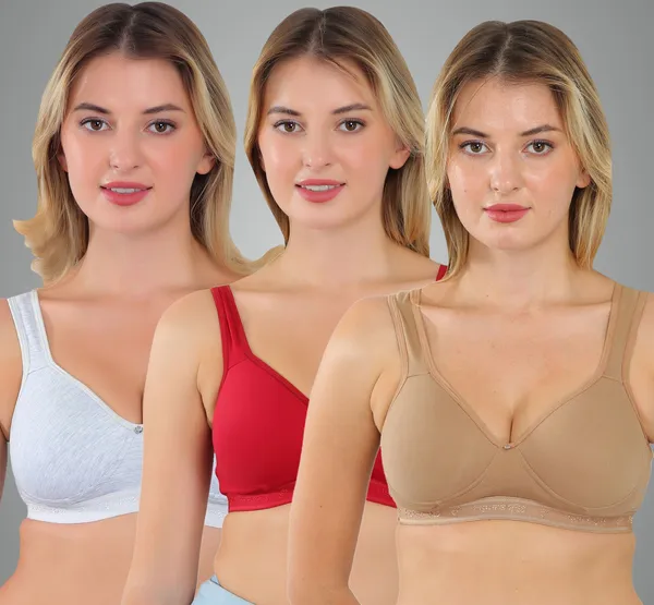 Grey,_Maroon_And_Neude_Zara_Sports_Lightly_Padded_Bra_For_Women_Pack_Of_3