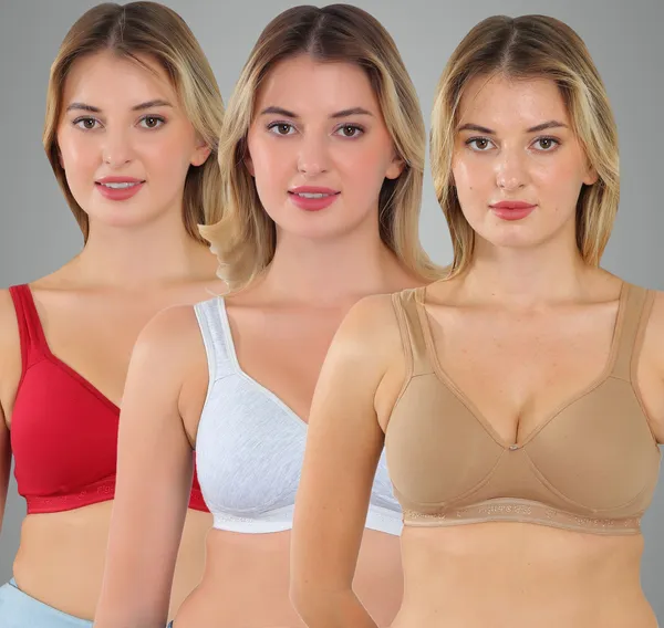 Maroon,_Grey_And_Neude_Zara_Sports_Lightly_Padded_Bra_For_Women_Pack_Of_3