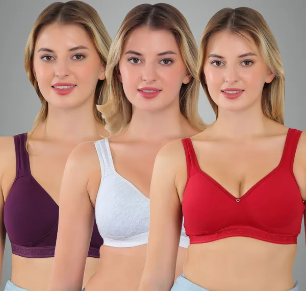 Wine,_Grey_And_Maroon_Zara_Sports_Lightly_Padded_Bra_For_Women_Pack_Of_3