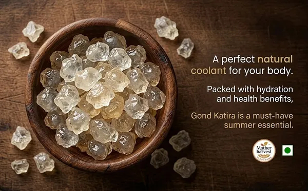 Gond_Katira_Almond_Gum_Badam_Pisin_Tragacanth_Gum_High_Cooling_Properties_Herbal_Food_Natural_Superfood_100_Gm_Pack_Of_3