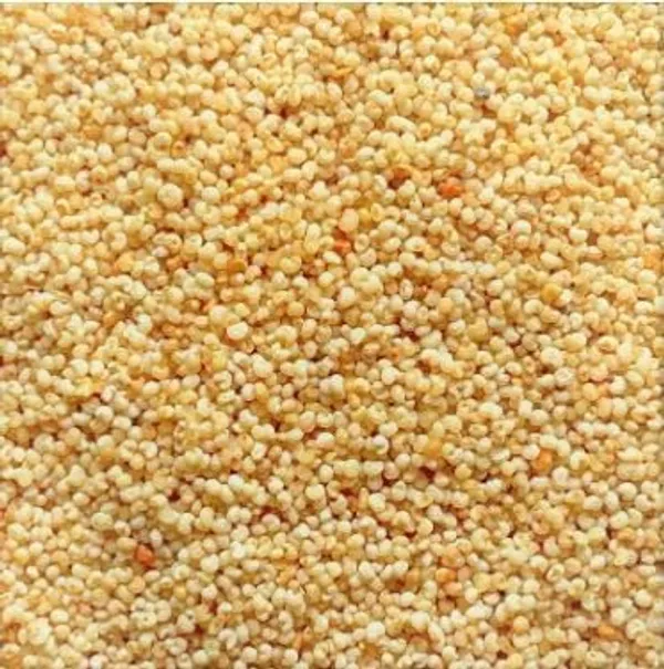 Natural_Fridge_Poppy_Seeds_(Khas_Khas),_Indian_Posta_Dana,_No_Artificial_Colors_and_Preservatives,_Seeds_for_Eating,_Helps_Boost_Immunity_and_Health_Benefits_-100gm