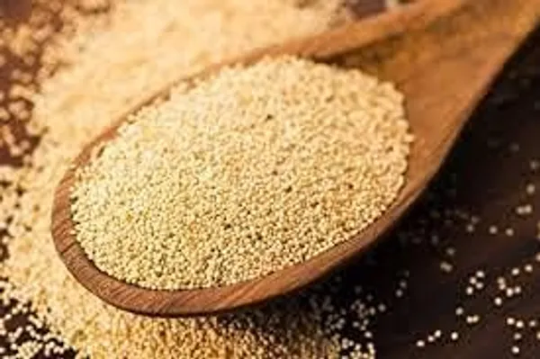 Natural_Fridge_Poppy_Seeds_(Khas_Khas),_Indian_Posta_Dana,_No_Artificial_Colors_and_Preservatives,_Seeds_for_Eating,_Helps_Boost_Immunity_and_Health_Benefits_-100gm