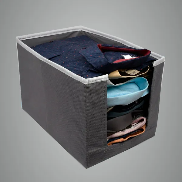 Multipurpose_Wardrobe_Storage_Box_With_Front_Window_|_Foldable_Clothes_Organizer_For_Dresses,_Kurtis_&_Kids_Garments_|_20L_Non-Woven_Hardboard_Storage_Bin_(Grey)