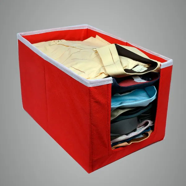 Multipurpose_Garment_Storage_Box_With_Front_Window_|_Foldable_Wardrobe_Organizer_For_Clothes,_Kurtis_&_Dresses_|_20L_Non-Woven_Hardboard_Storage_Bin_(Red)