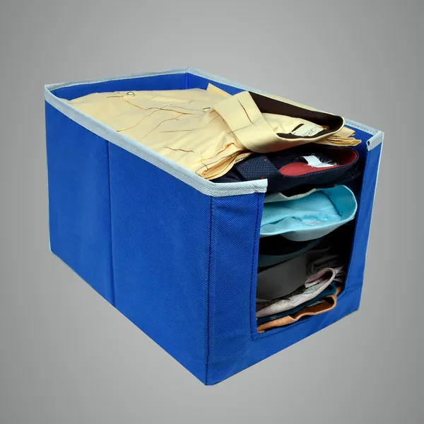 Foldable_Wardrobe_Clothes_Storage_Box_With_Front_Window_|_Garment_Organizer_For_Kurtis,_Dresses_&_Kids_Clothes_|_20L_Non-Woven_Hardboard_Storage_Bin_(Royal_Blue)