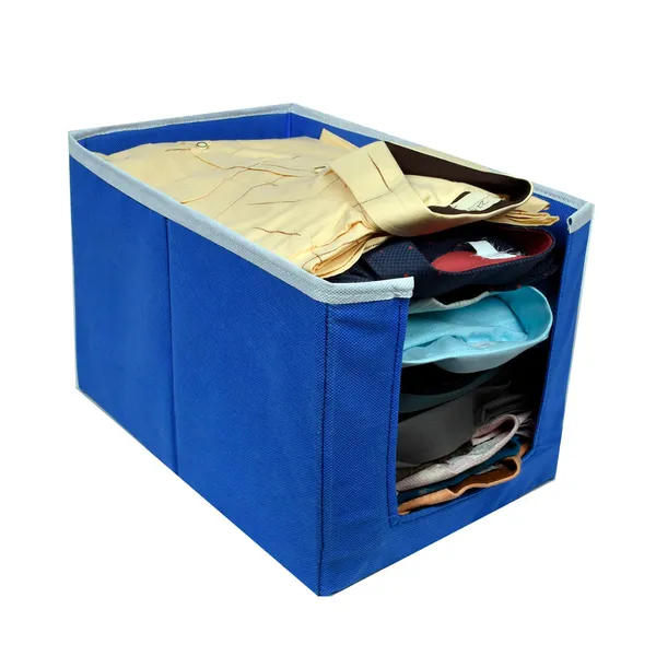 Foldable_Wardrobe_Clothes_Storage_Box_With_Front_Window_|_Garment_Organizer_For_Kurtis,_Dresses_&_Kids_Clothes_|_20L_Non-Woven_Hardboard_Storage_Bin_(Royal_Blue)