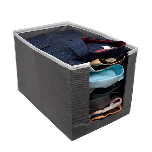 Multipurpose_Wardrobe_Storage_Box_With_Front_Window_|_Foldable_Clothes_Organizer_For_Dresses,_Kurtis_&_Kids_Garments_|_20L_Non-Woven_Hardboard_Storage_Bin_(Grey)