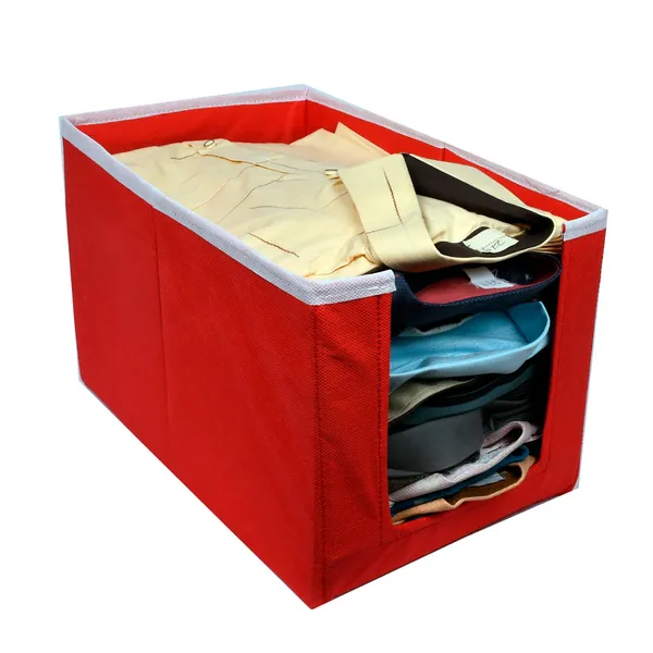Multipurpose_Garment_Storage_Box_With_Front_Window_|_Foldable_Wardrobe_Organizer_For_Clothes,_Kurtis_&_Dresses_|_20L_Non-Woven_Hardboard_Storage_Bin_(Red)
