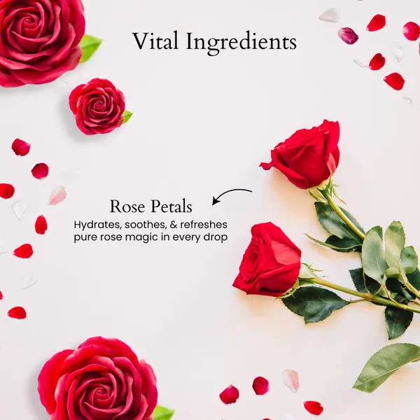 Shuddh_Rose_Water_For_Unisex(Pack_of_2)