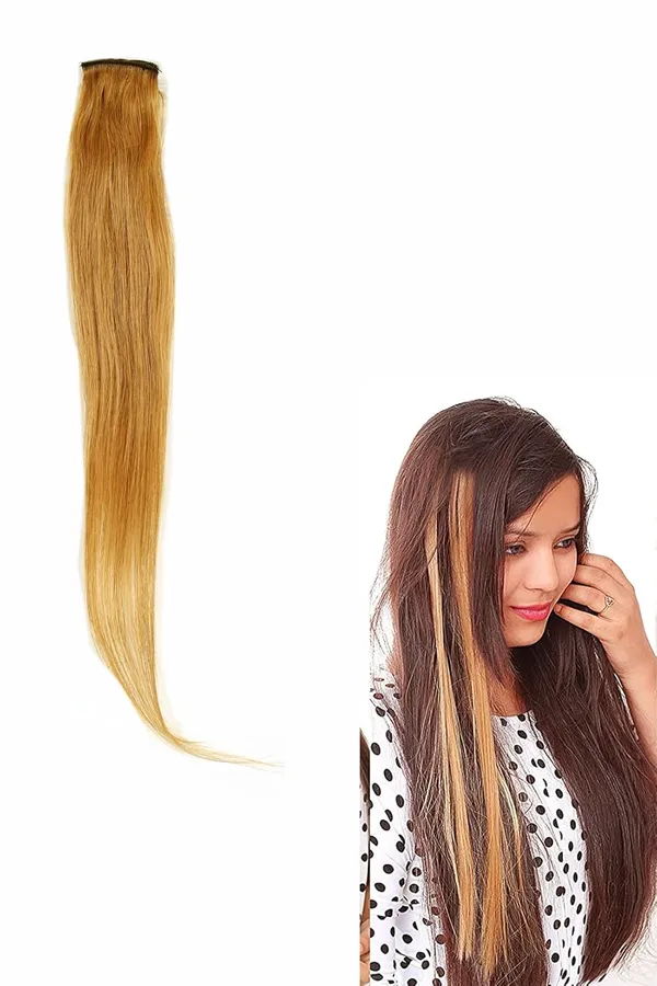 Human_Hair_Clip-On_Extension