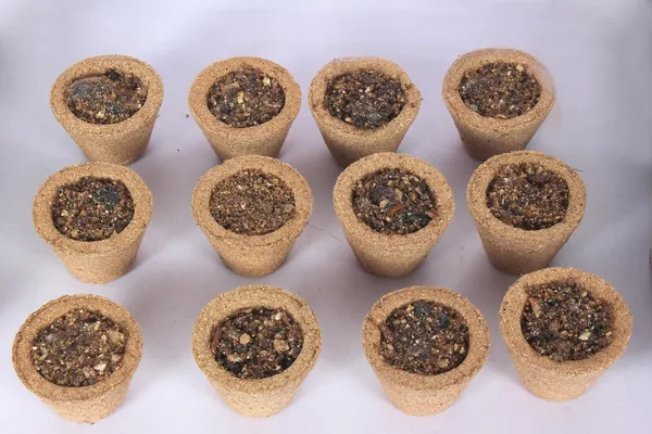Havan_Cup_with_Herbal_Ingredients