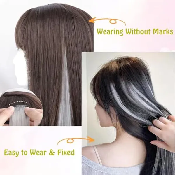 Grey_Hair_Streaks_Synthetic_20-Inch_Straight_Clip-On_Extensions_For_Instant_Highlights_Perfect_&_Wo_Stylish_Hair_(Pack_Of_2)_For_Women