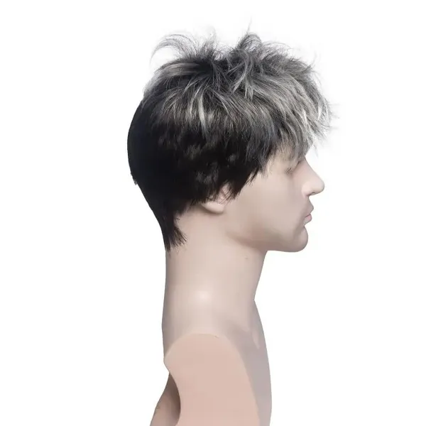 Men's_Two-Tone_Synthetic_Hair_Wig
