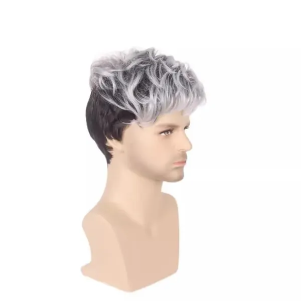 Men's_Two-Tone_Synthetic_Hair_Wig