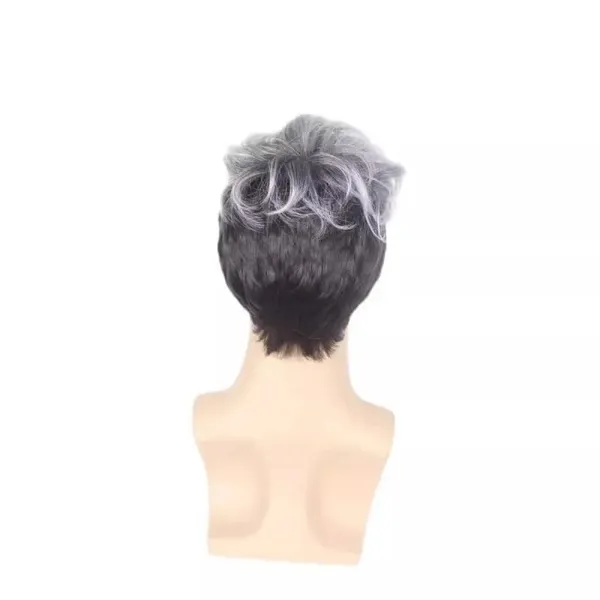 Men's_Two-Tone_Synthetic_Hair_Wig