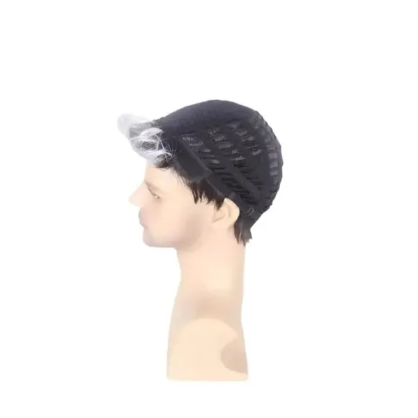 Men's_Two-Tone_Synthetic_Hair_Wig