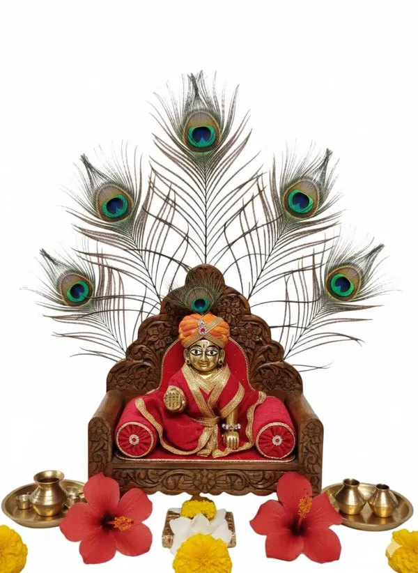 Laddu_Gopal_Peacock_Feather_Set