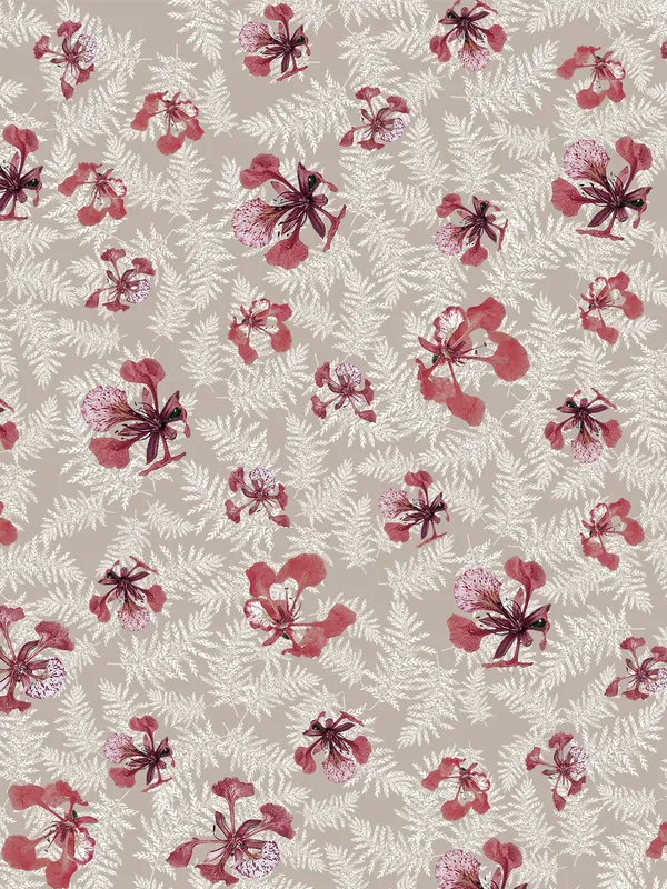 Beige_Premium_Single_Size_Bedsheet,_Poinciana_Beige_300_Tc_100_Percent_Cotton_1_Pillow_Cover