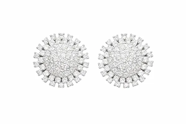 Silver_Brass_Premium_&_Fancy_Design_Earrings_For_Women