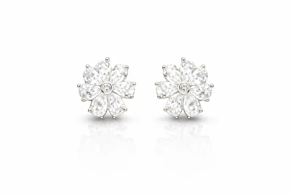 Silver_Brass_Premium_&_Fancy_Design_Earrings_For_Women