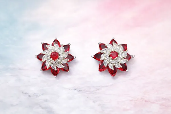 Silver_Brass_Premium_&_Fancy_Design_Earrings_For_Women
