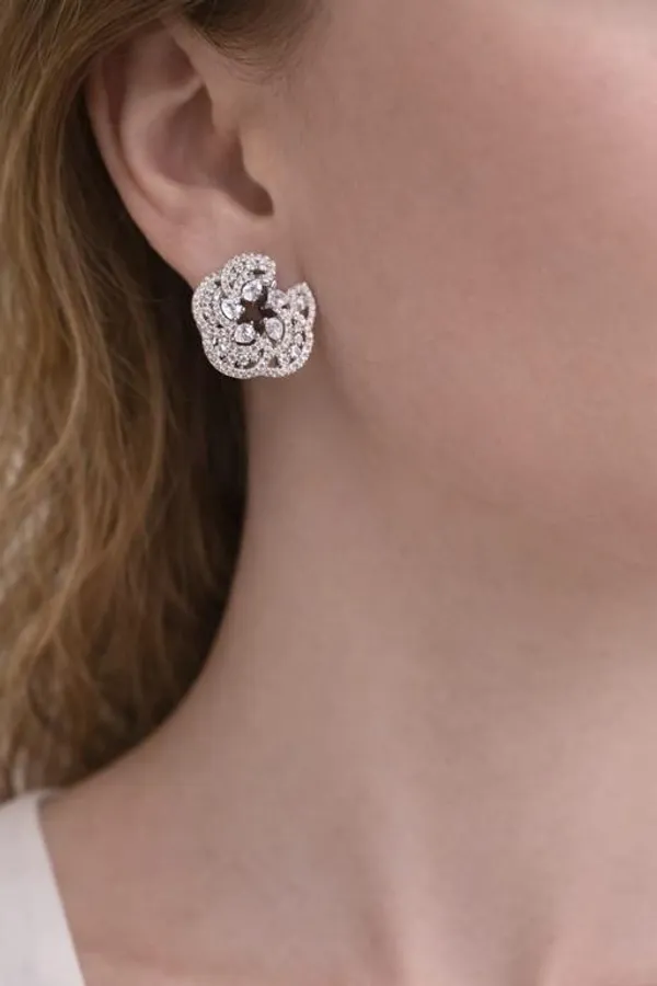Silver_Premium_&_Fancy_Design_Earrings_For_Women