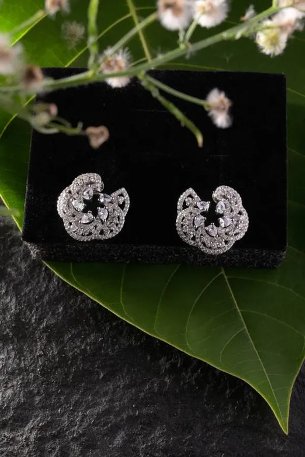 Silver_Premium_&_Fancy_Design_Earrings_For_Women